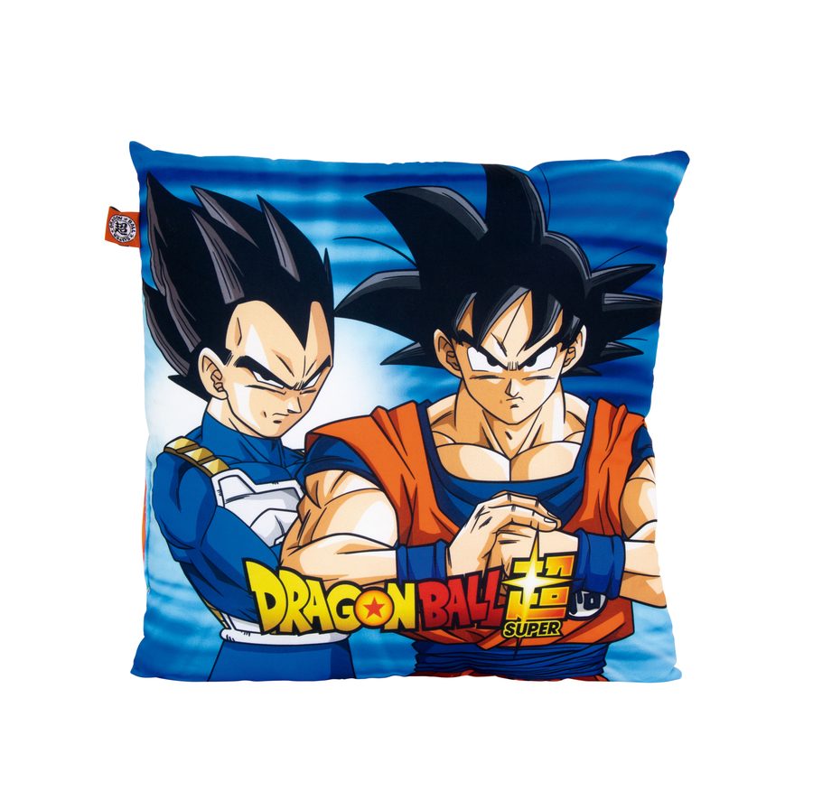 Coussin forme