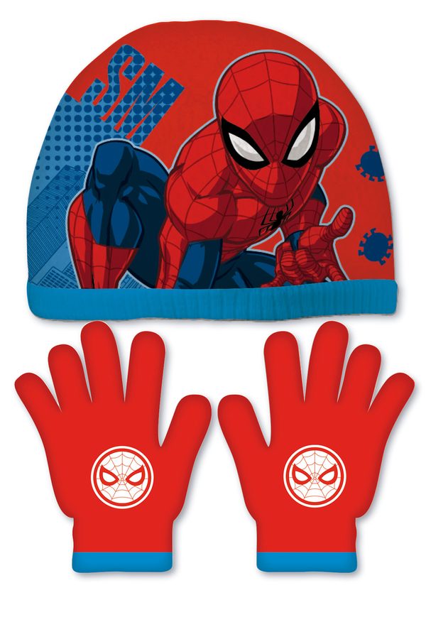 Set bonnet + tour de cou + gants